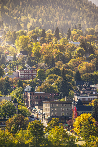Fall Morning Glow II  Print