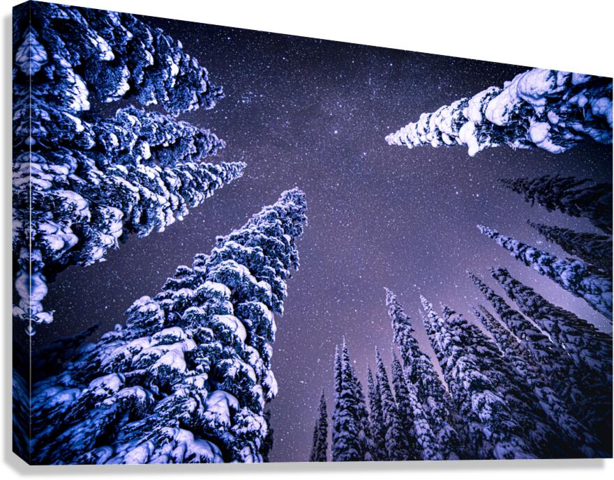 Whitewater Trees Canvas Print