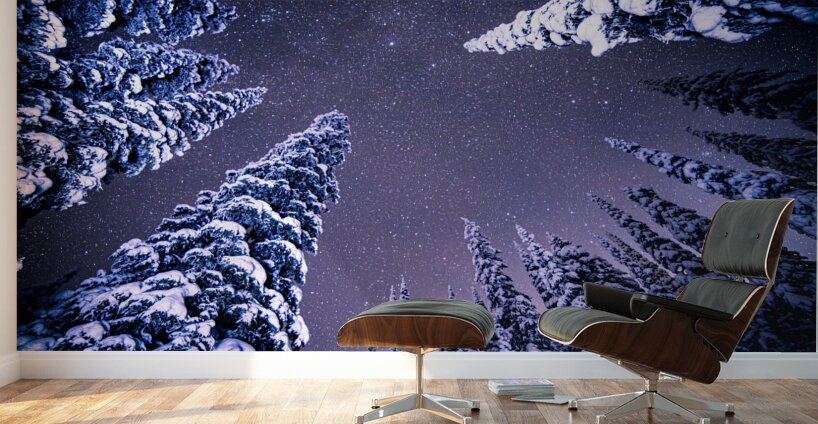 Whitewater Trees Wall Murals