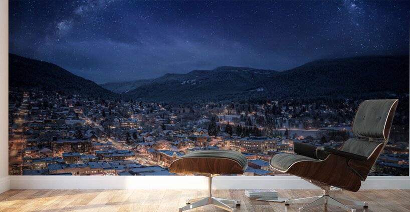 Nelson December Snow Wall Murals