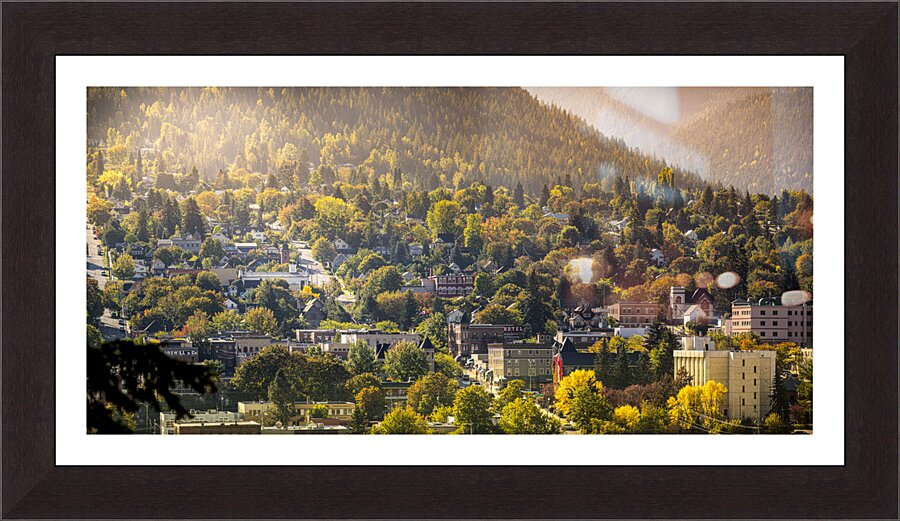 Fall Morning Glow  Framed Print Print