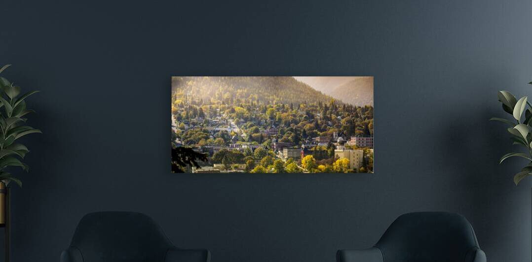 Fall Morning Glow by Adrian Wagner Studio