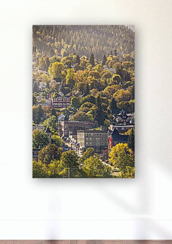 Fall Morning Glow II by Adrian Wagner Studio