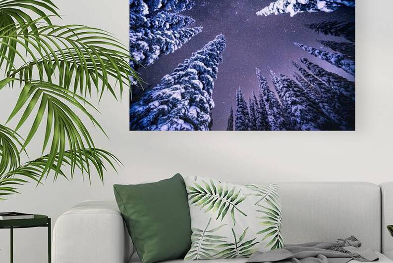 Whitewater Trees by Adrian Wagner Studio